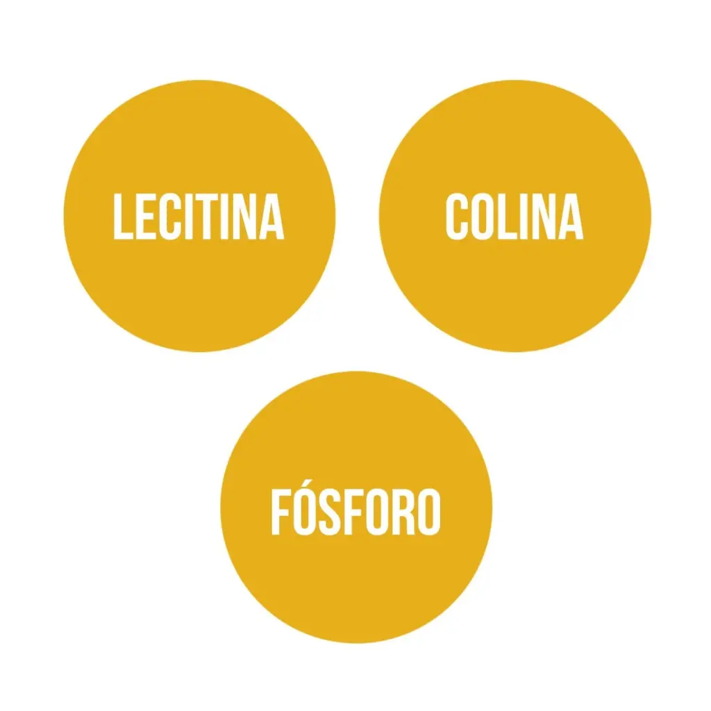 lecitina-de-soja-300-perlas (3).webp