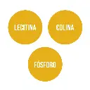 lecitina-de-soja-300-perlas (3).webp