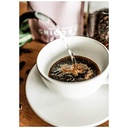 Chicory Blend - Nutriplus