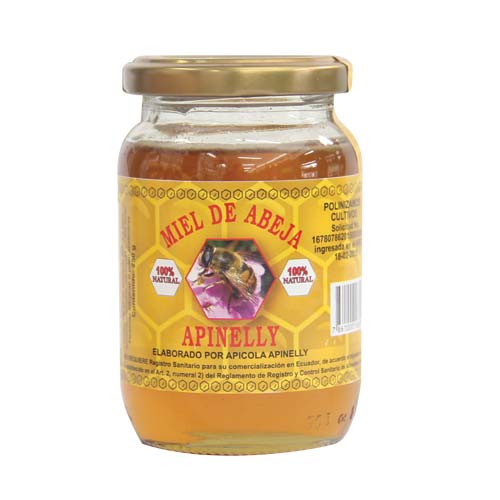MIEL DE ABEJA APINELLY 500ML