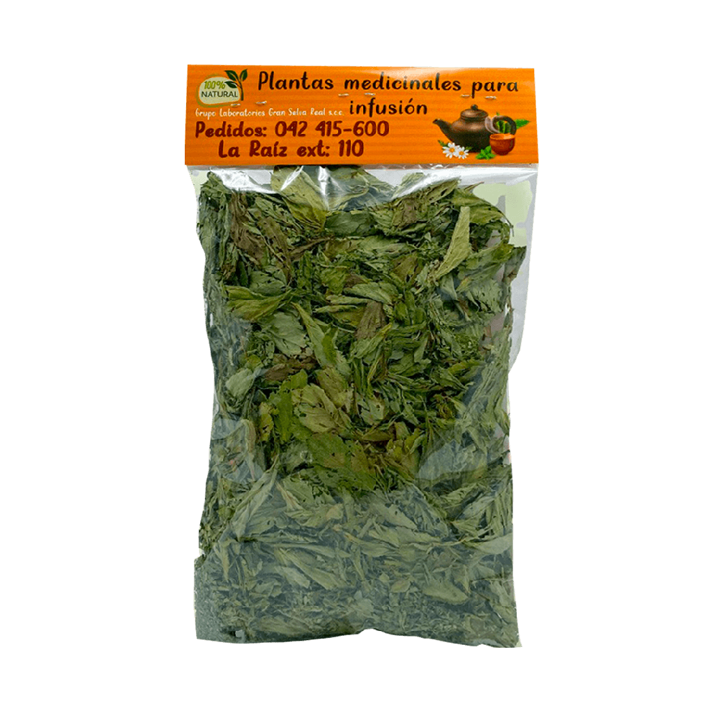 DIENTE DE LEON HOJAS 24G