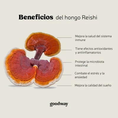 Good Coffee con Reishi (Ganoderma) - 120g - Imagen 4